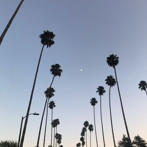 Meet your Posher, Min kyoung